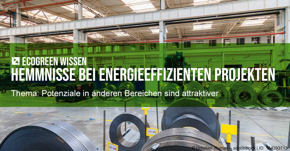 ecogreen Wissen Hemmnisse Energieeffizienz Potenziale in anderen Bereichen attraktiver