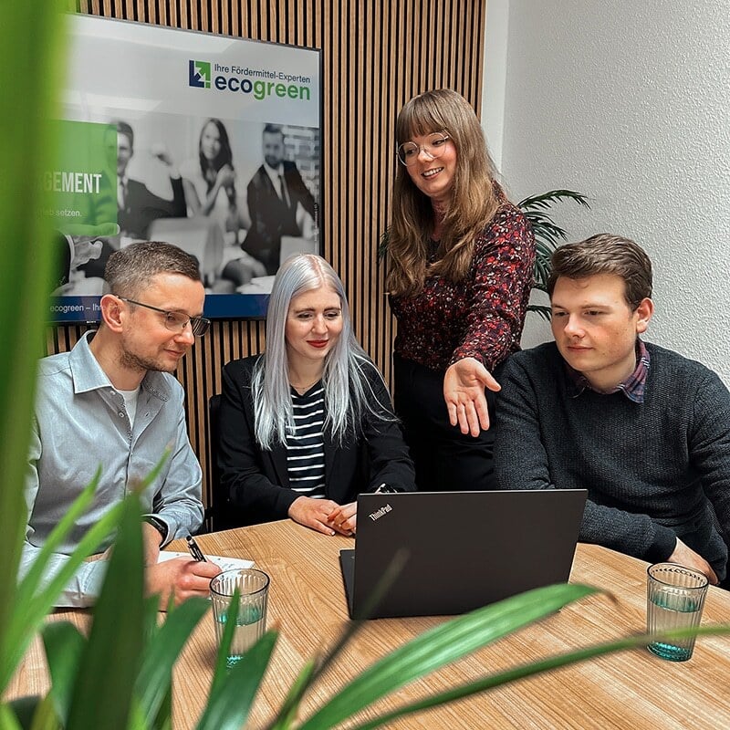 Mitarbeitende von ecogreen in einer gemeinsamen Bürosituation