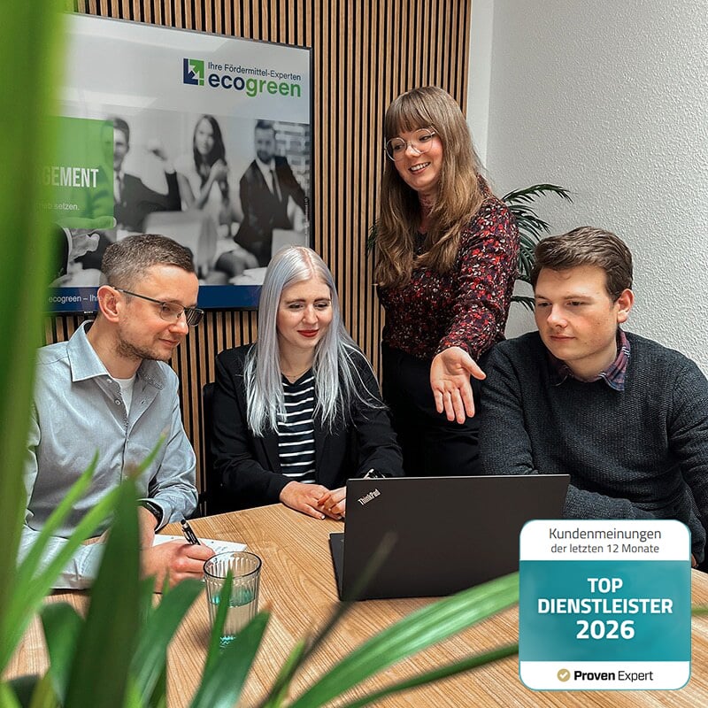 Mitarbeitende von ecogreen in einer gemeinsamen Bürosituation