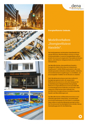 Flyer dena Pilotprojekt „Energieeffizient Handeln“