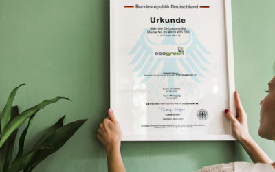 Neun Jahre ecogreen Energie – Expertenwissen in Energieeffizienz und Fördermittel