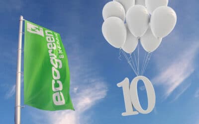 10 Jahre ecogreen Energie – Ein Interview zum Jubiläum