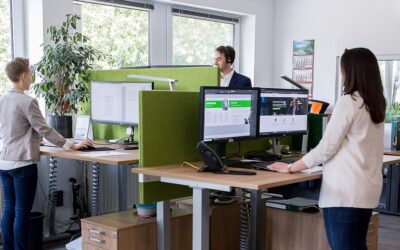 Ein Erfolgsfaktor von ecogreen: Das optimale Büro