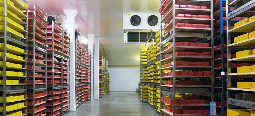 Kühllager und Logistikzentren mit Förderpotenzial