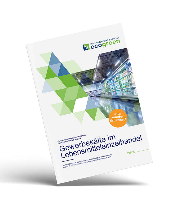 Flyer Gewerbekälte LEH ecogreen